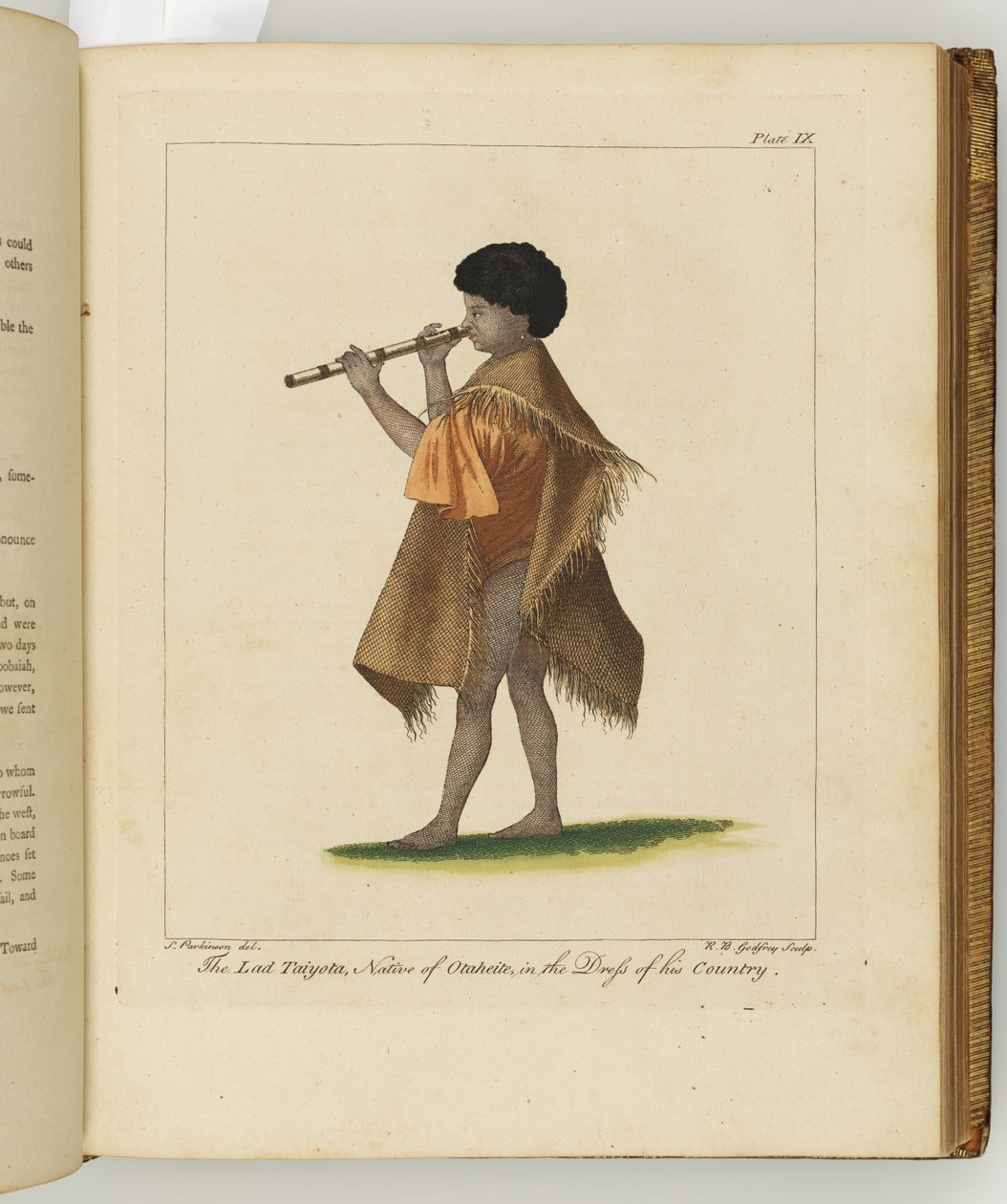 Illustrasjon fra A journal of a voyage to the South Seas: in His Majestys ship, the Endeavour, 1794 (håndfarget gravering) av Sydney