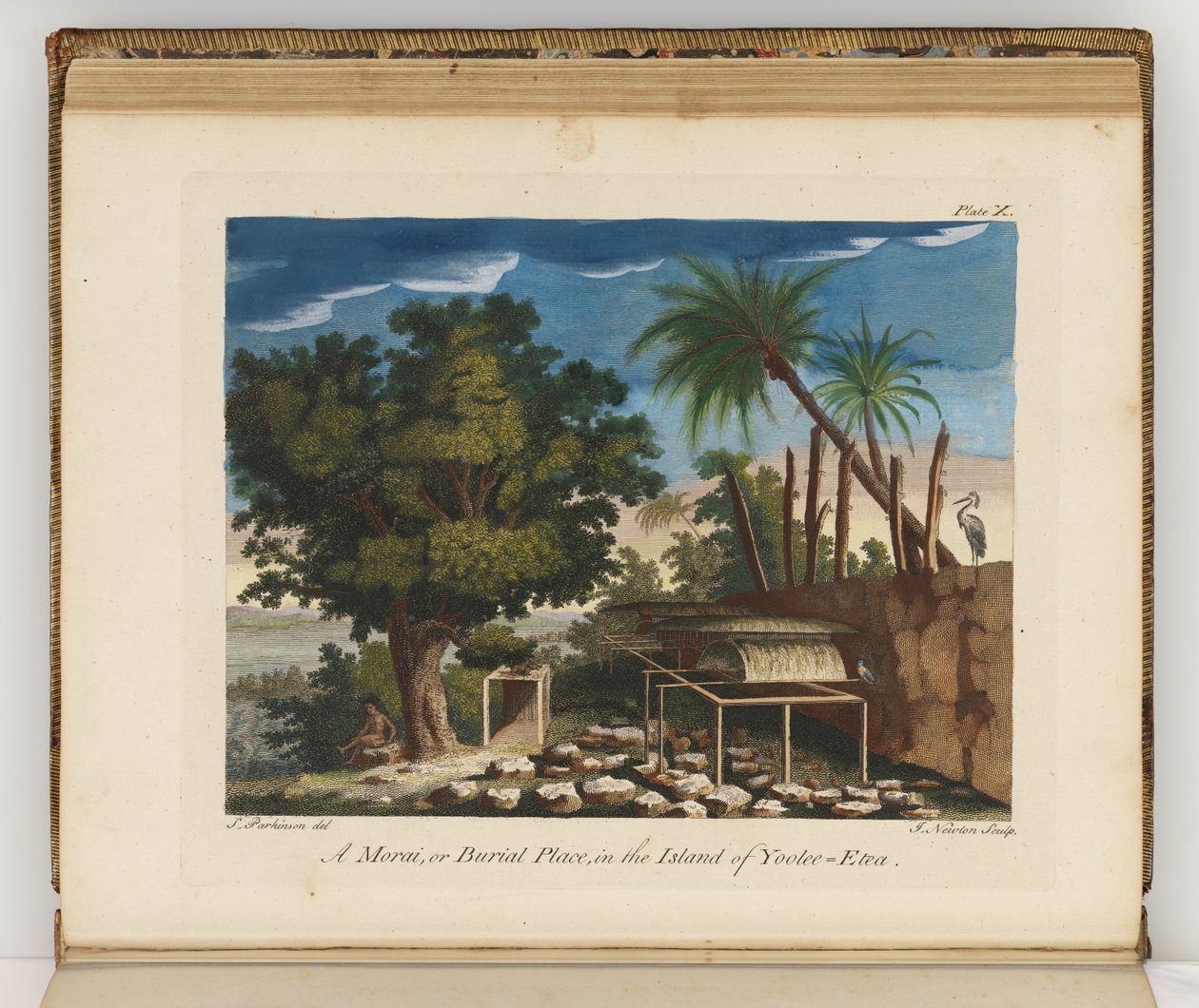 Illustrasjon fra A journal of a voyage to the South Seas: in His Majestys ship, the Endeavour, 1794 (håndfarget gravering) av Sydney