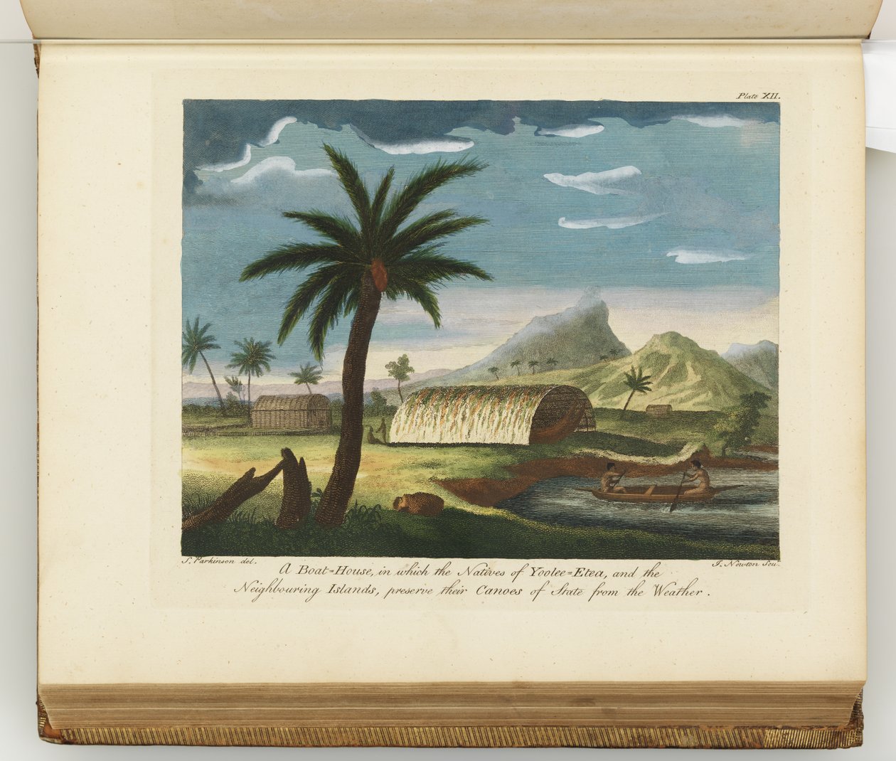 Illustrasjon fra A journal of a voyage to the South Seas: in His Majestys ship, the Endeavour, 1794 (håndfarget gravering) av Sydney