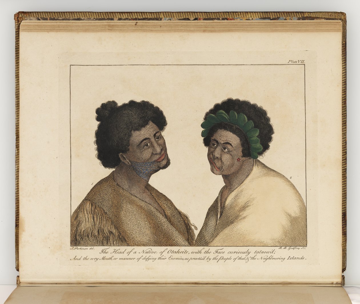 Hodet til en innfødt fra Otaheite, illustrasjon fra A journal of a voyage to the South Seas: in His Majestys ship, the Endeavour, 1794 (håndfarget gravering) av Sydney