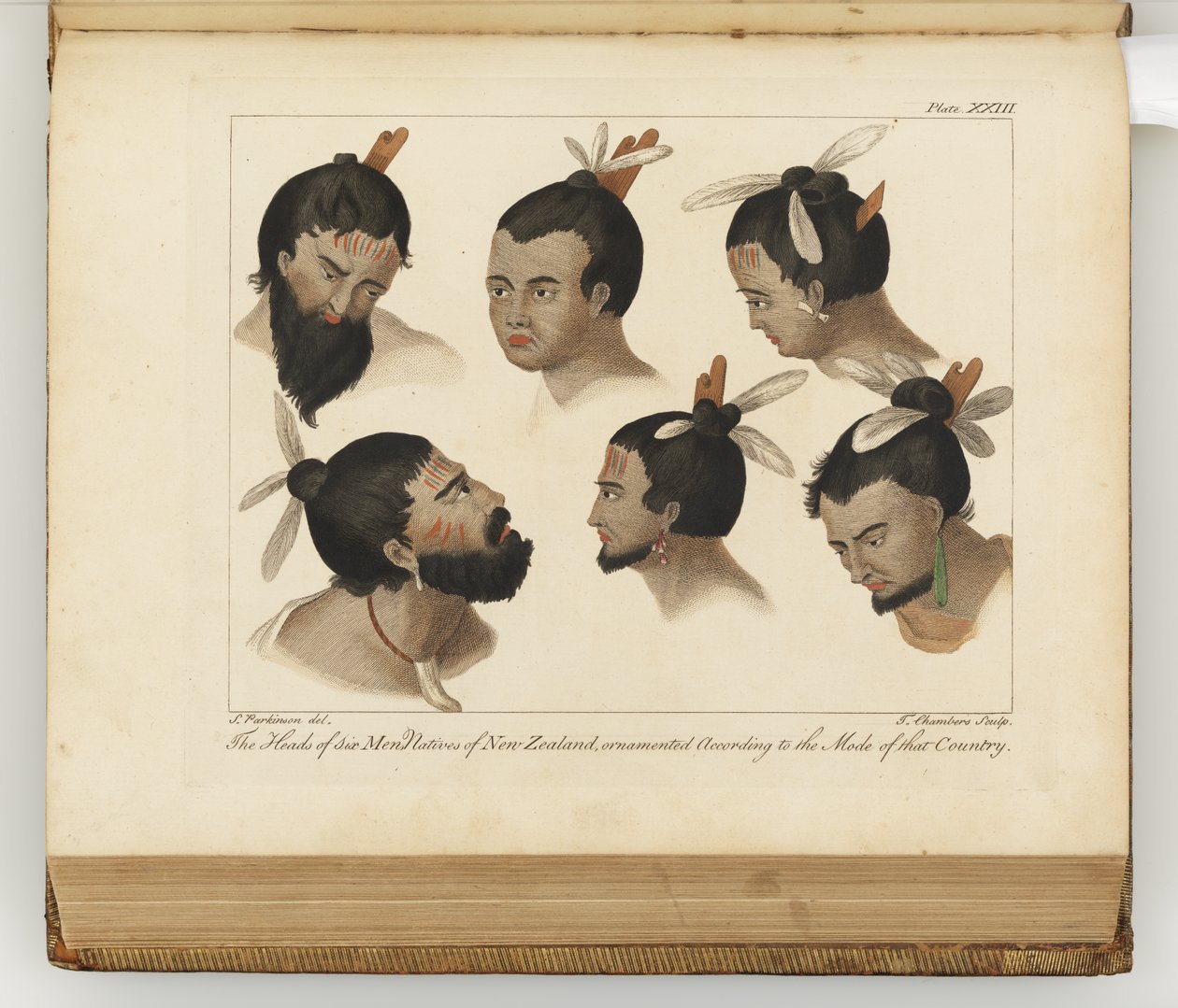 Hodene til seks menn, illustrasjon fra A journal of a voyage to the South Seas: in His Majestys ship, the Endeavour, 1794 (håndfarget gravering) av Sydney