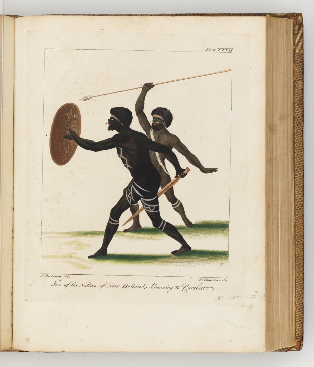 To av de innfødte i New Holland, illustrasjon fra A journal of a voyage to the South Seas: in His Majestys ship, the Endeavour, 1794 (håndfarget gravering) av Sydney