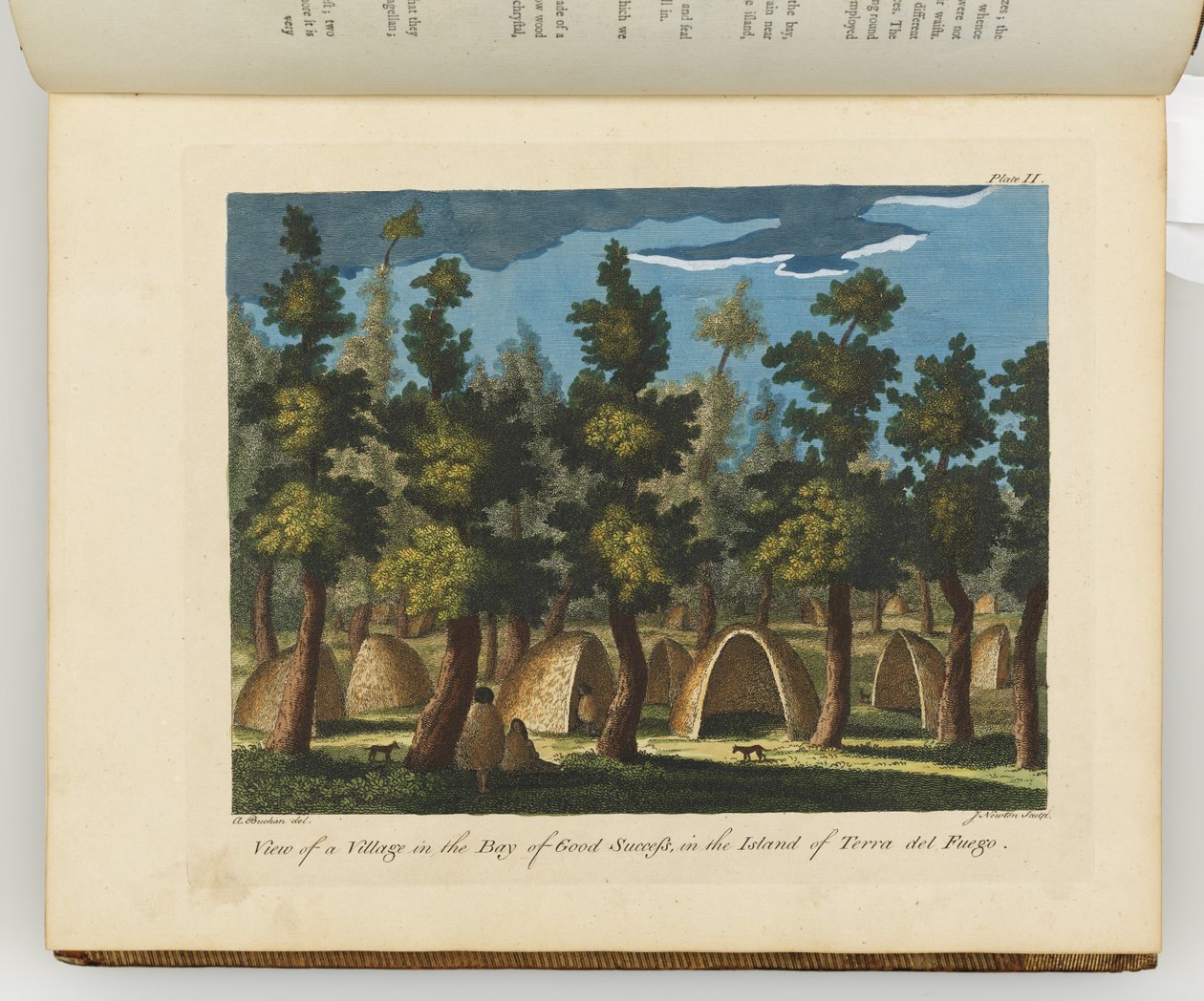 Illustrasjon fra 'A journal of a voyage to the South Seas: in His Majesty's ship, the Endeavour' av Sydney (after) Parkinson
