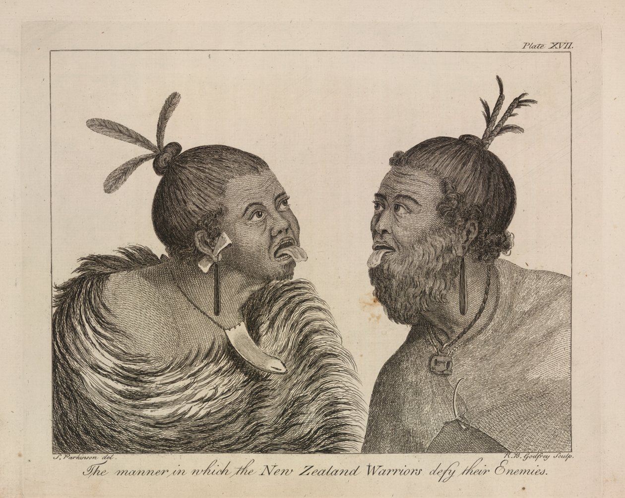 L.R.294.c.7, plate XVII New Zealand-krigere av Sydney (after) Parkinson