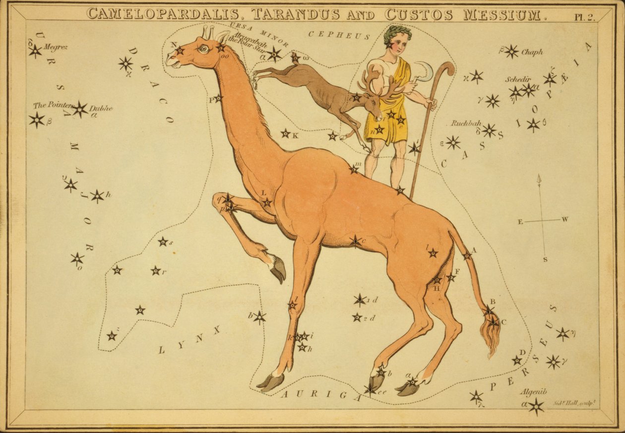 Camelopardalis, Tarandus og Custos Messium, illustrasjon fra 