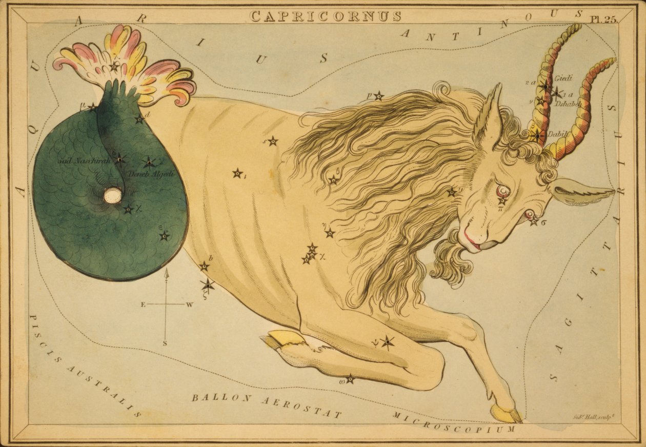 Capricornus, illustrasjon fra 