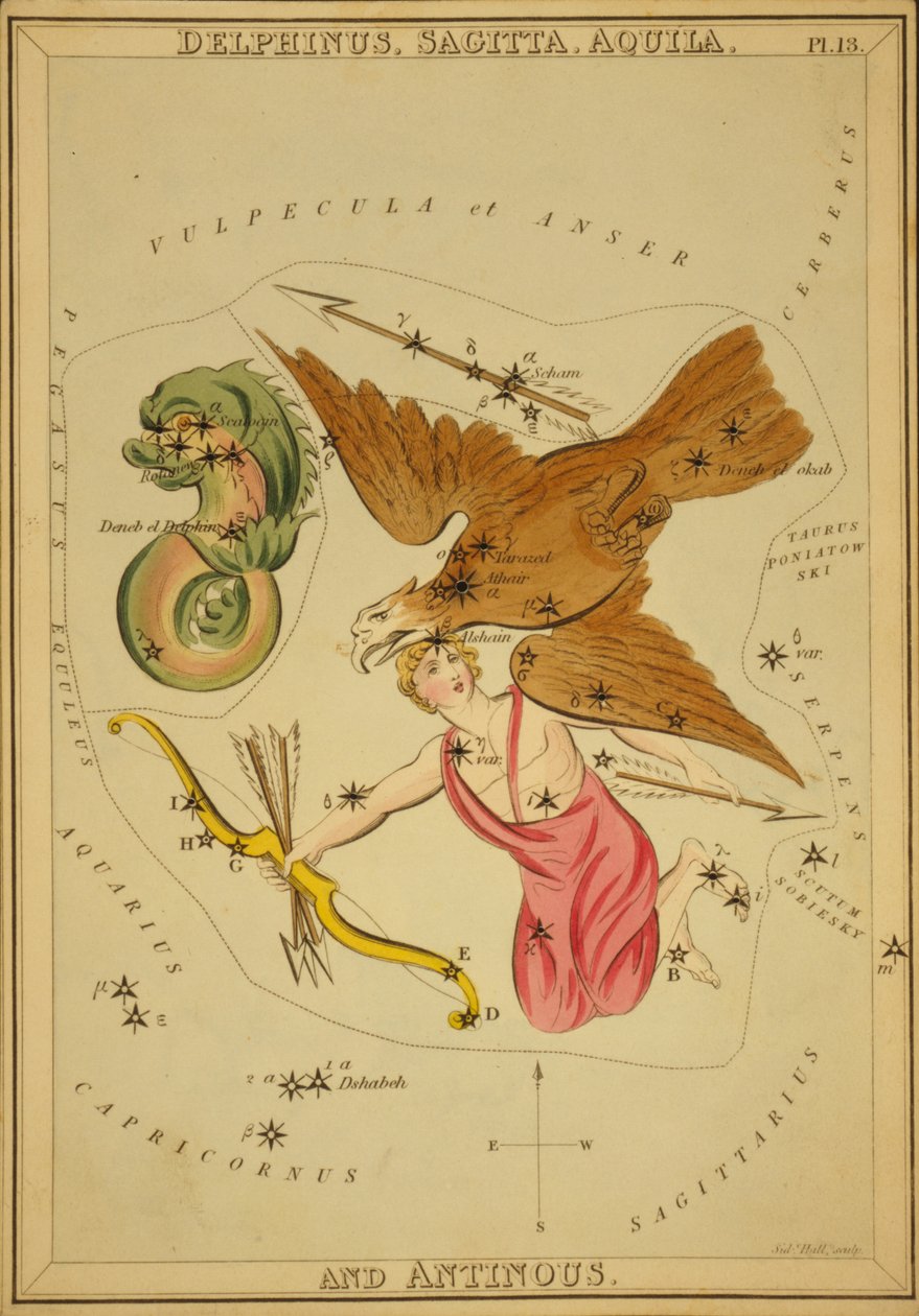 Delphinus, Sagitta, Aquila og Antinous, illustrasjon fra 