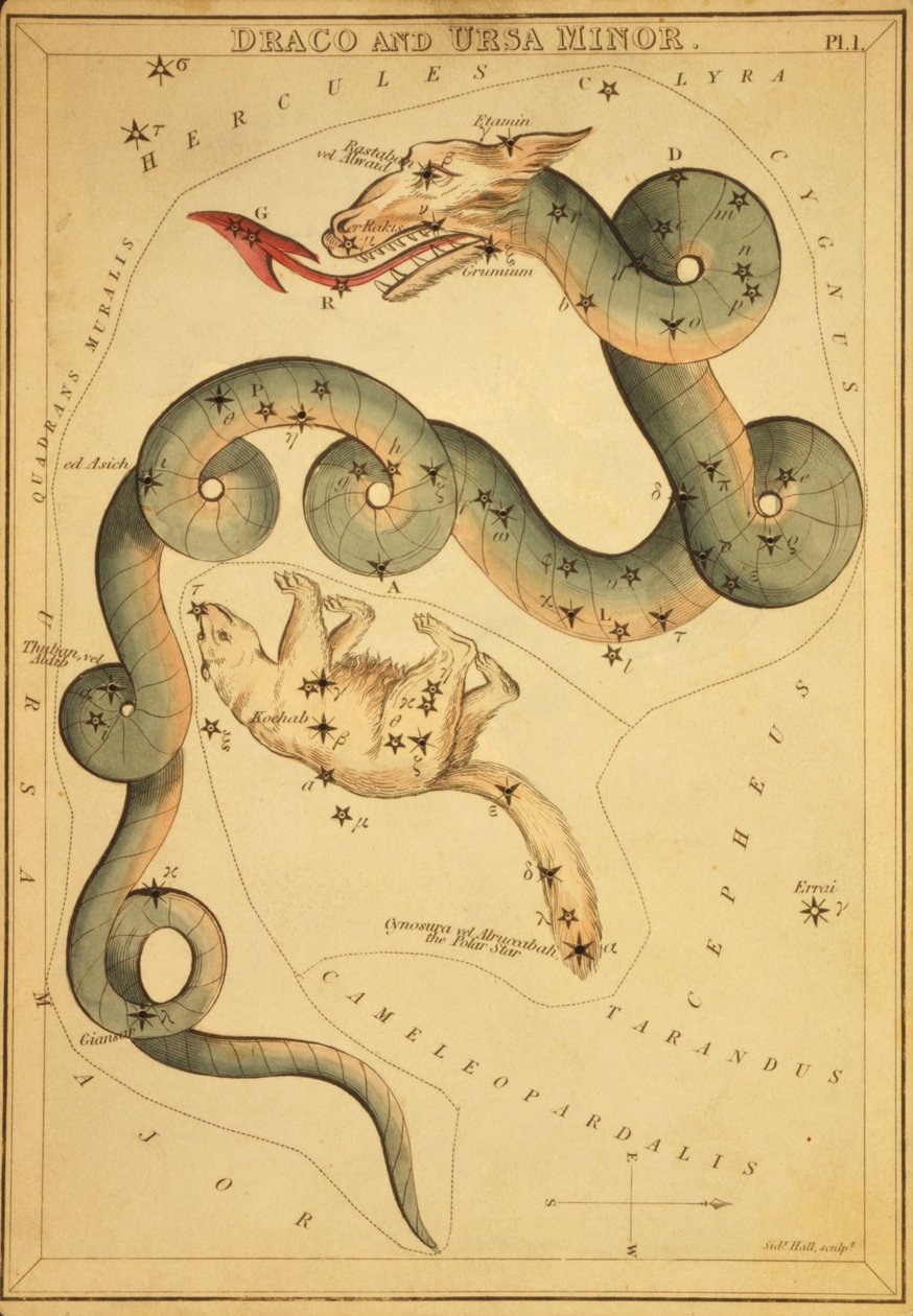 Draco og Ursa Minor, illustrasjon fra 