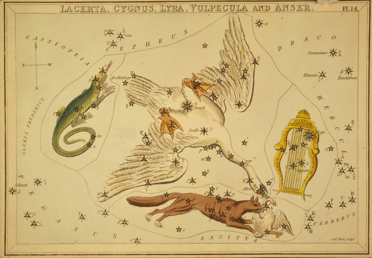 Lizard, Swan, Lyra, Fox and Goose, illustrasjon fra 