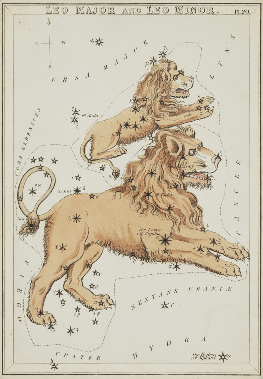 Leo Major og Leo Minor, illustrasjon fra 