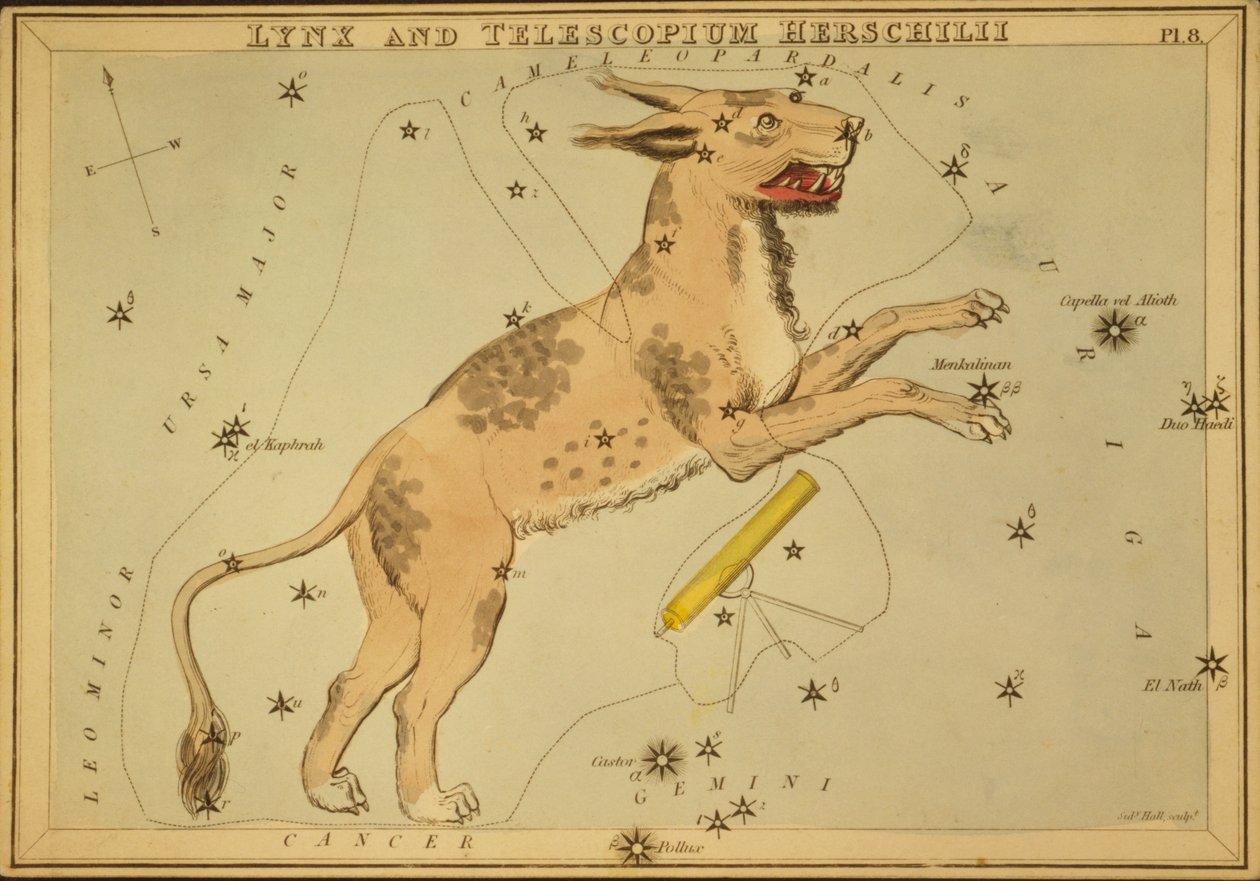 Gaupe og Telescopium Herschilii, illustrasjon fra 