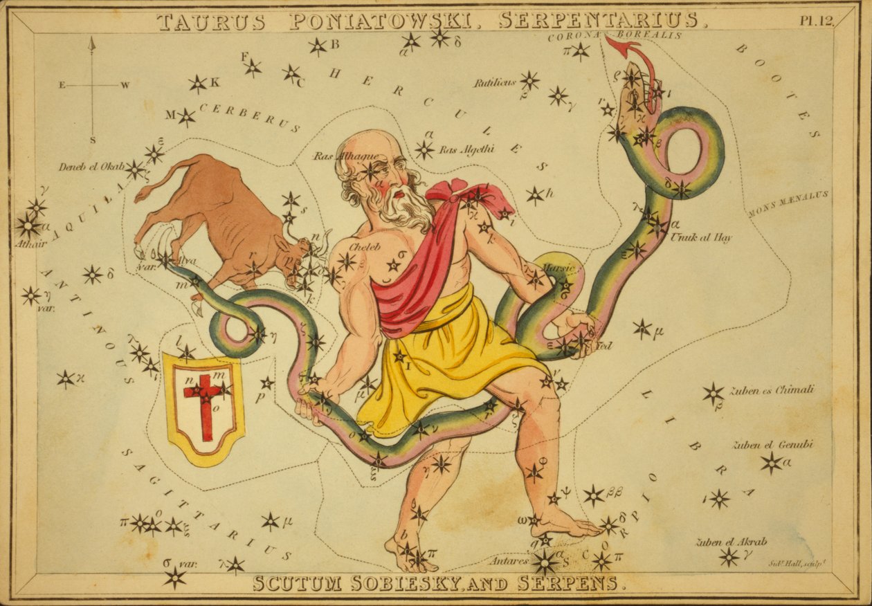 Taurus Poniatowski, Serpentarius, Scutum Sobiesky og Serpens, illustrasjon fra 