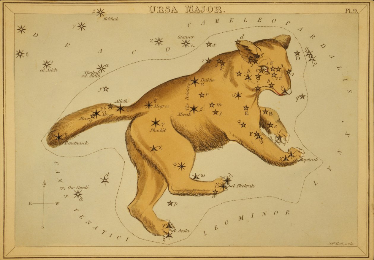 Ursa Major, illustrasjon fra 