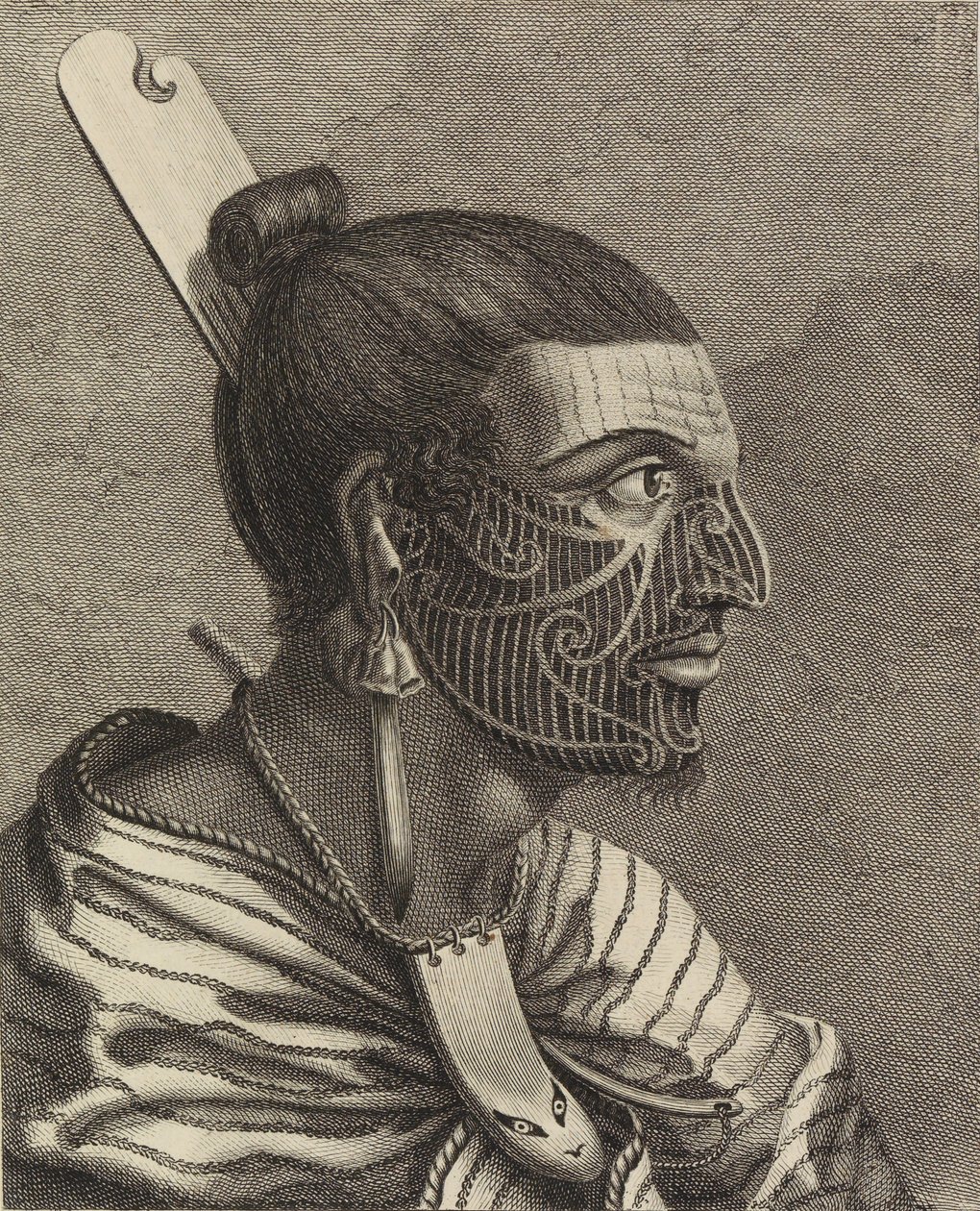  av Sydney Parkinson