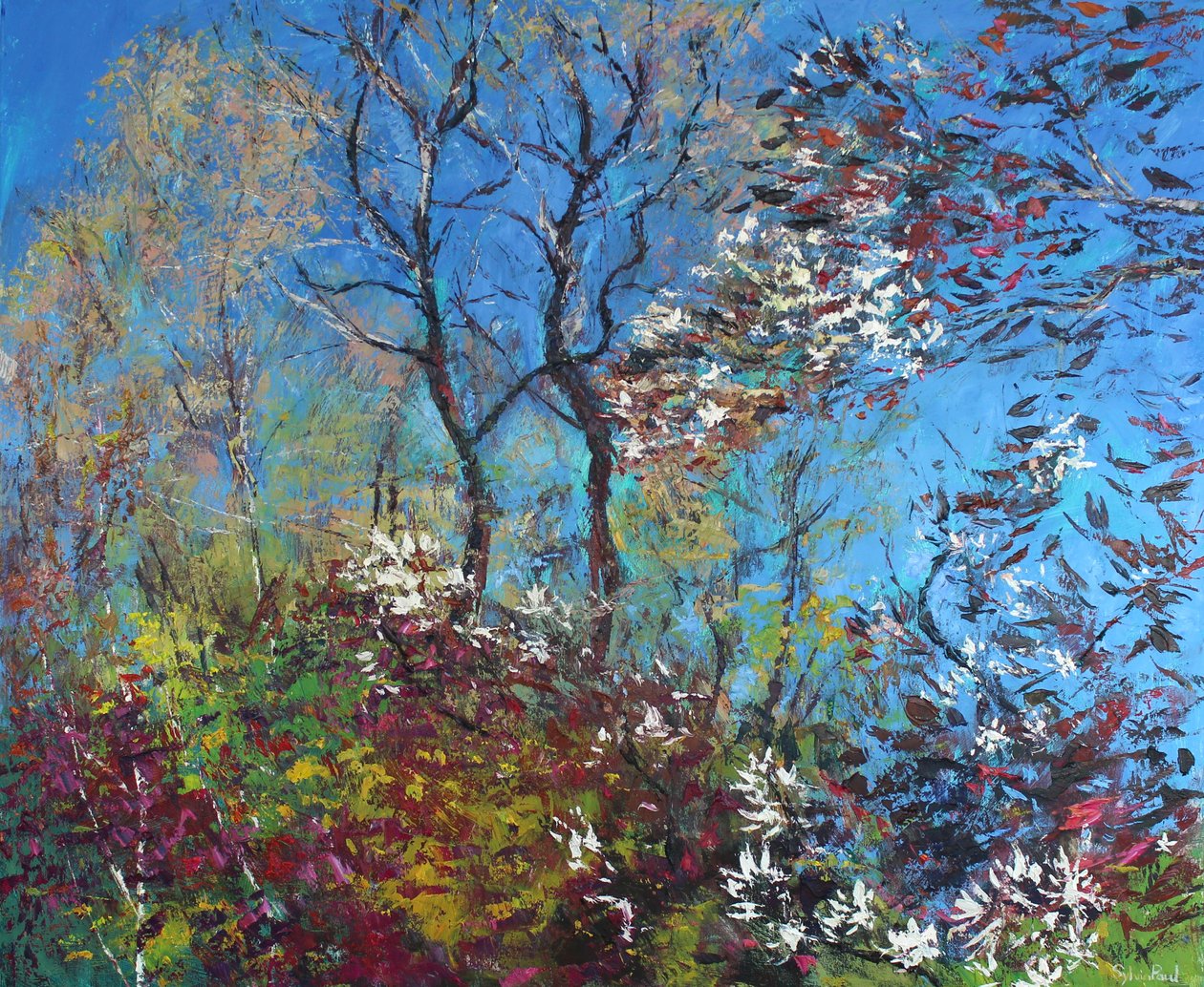 Blomst og blå himmel av Sylvia Paul