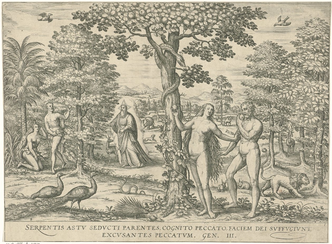 Zondeval Figurer og bilder av bøker (serietittel) av Symon Novelanus (attributed to)