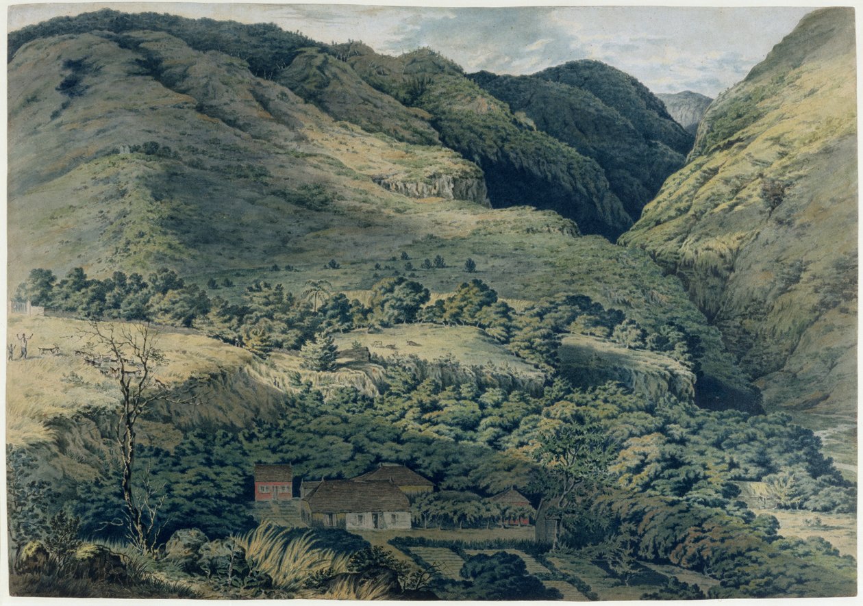 Ravine and River ved St. Denis, Bourbon, 1814 av T. Bradshaw