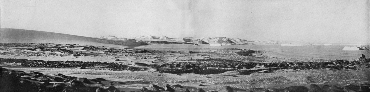 Et panorama av Cape Roberts ser nordover, c1911, 1913. av T. Griffith Taylor