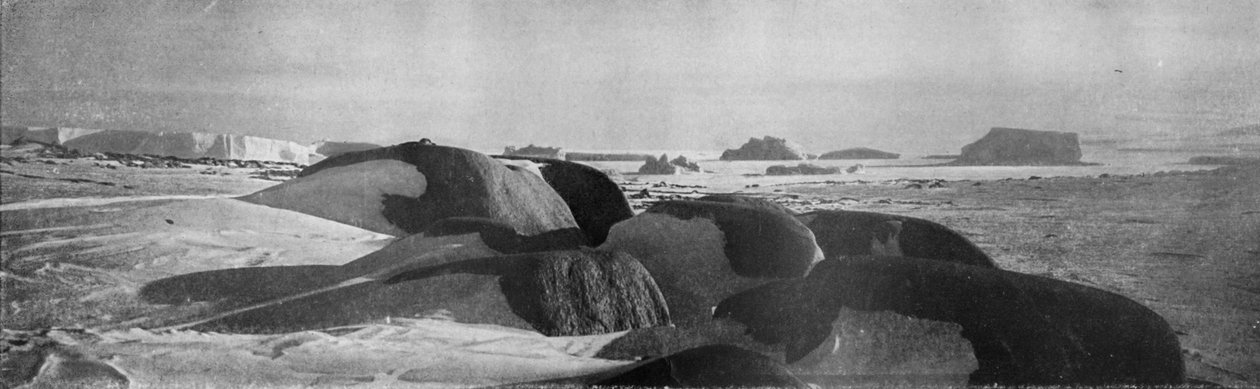 Granittblokker høvlet av eldgamle isbreer ved Cape Roberts, c1911, 1913. av T. Griffith Taylor