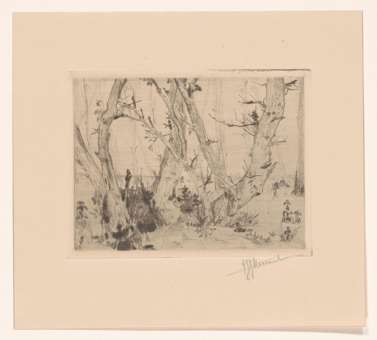 skogutsikt av T. Sterrenburg (signed by artist)