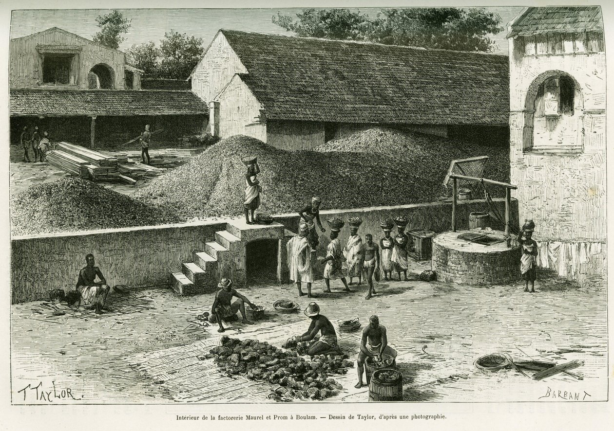 Inne i fabrikken Maurel og Prom, i Boulam, samler og behandler peanøtter, palmemandel og gummi. Gravering av Taylor, etter et fotografi, for å illustrere historien Voyage dans la Senegambie et la Guinee portuguese, i 1888, av kaptein A.Brosselard, av T Taylor