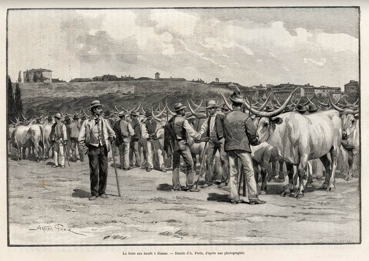 Biffmessen i Siena (Italia). Gravering av Taylor for å illustrere historien "" A travers la Tuscane"" av Eugene Muntz (1845-1902), i Le tour du Monde 1892, regissert av Edouard Charton (1807-1891), Hachette, Paris. av T Taylor