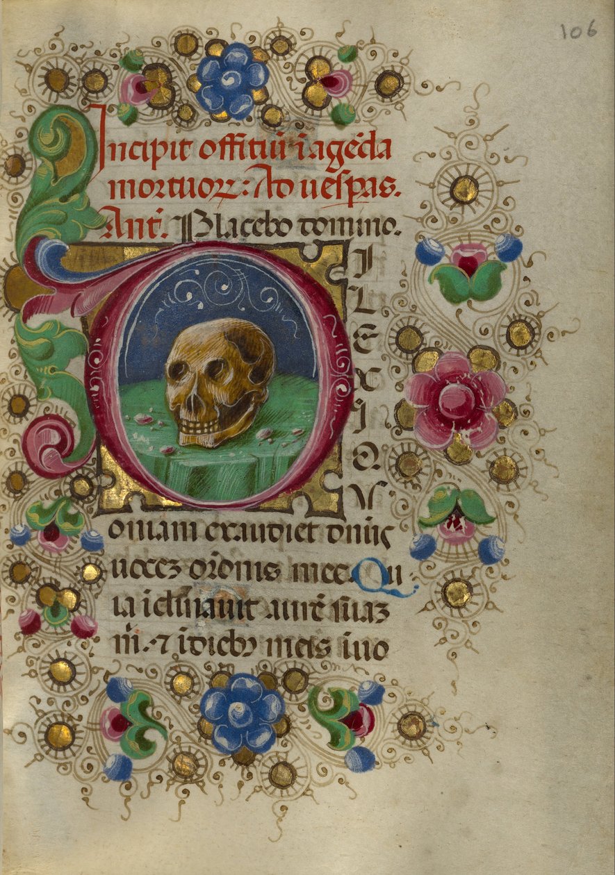 En hodeskalle i et steinete felt av Taddeo Crivelli