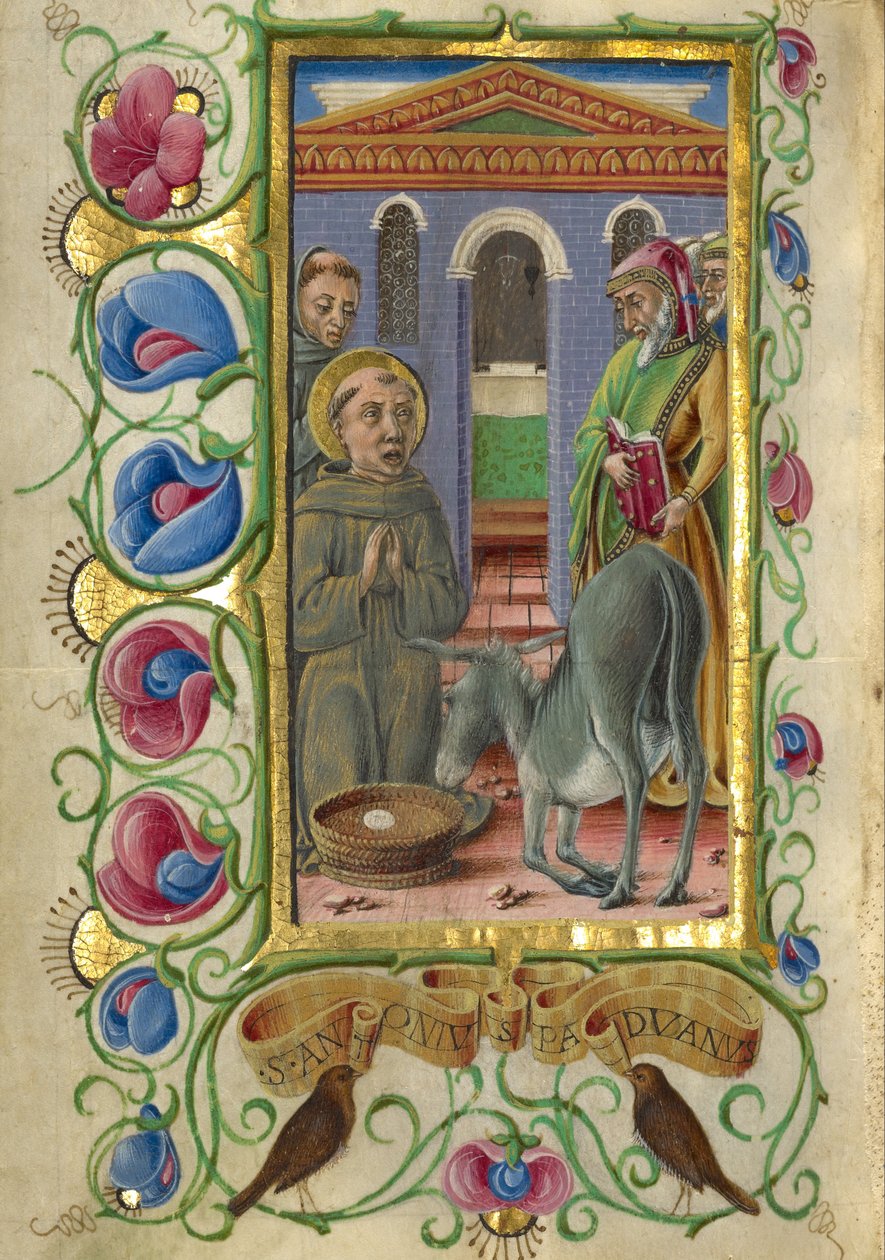 Sir Anthony av Padua av Taddeo Crivelli
