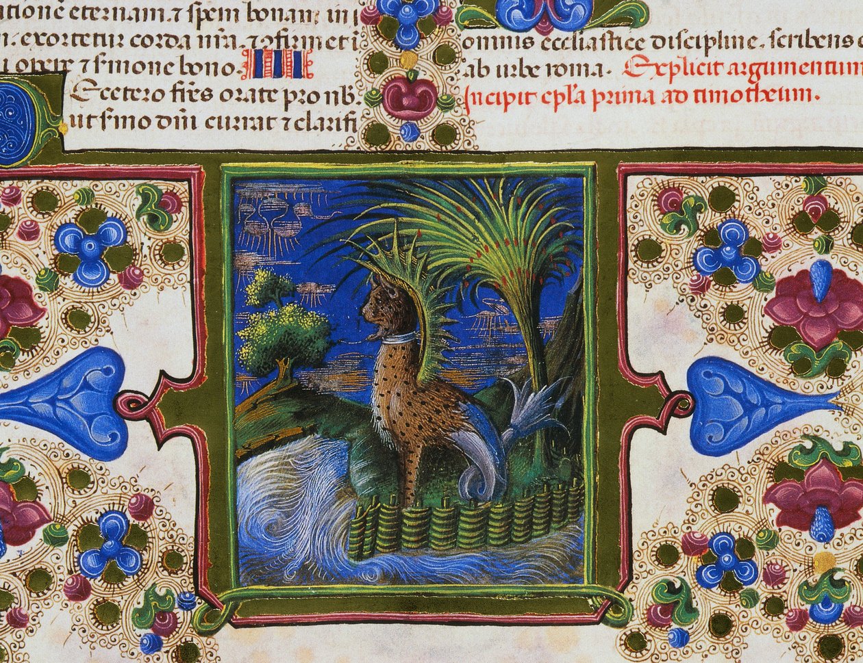 Grensefrise ved foten av siden med monstrøse dyr i landskapet, bind II, f 207, v, Bibelen til Borso d'Este, Taddeo Crivelli (1425-1479) og assistenter, latinsk manuskript av Taddeo Crivelli