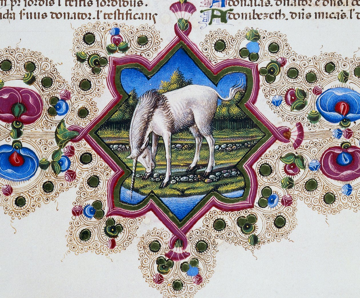 Grensefrise ved foten av siden med enhjørning, bind II f 245, v, Bibelen til Borso d'Este, Taddeo Crivelli (1425-1479) og assistenter, latinsk manuskript av Taddeo Crivelli