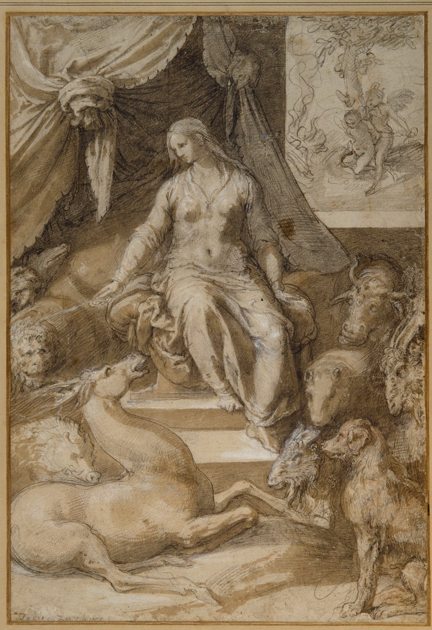 Circe sittende, de forheksede argonautene transmogrifisert (svart kritt med brun vask og hvit kroppsfarge på papir) av Taddeo Zuccaro