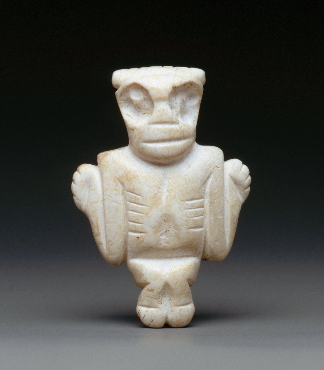 Amulett (skall) av Taino Culture