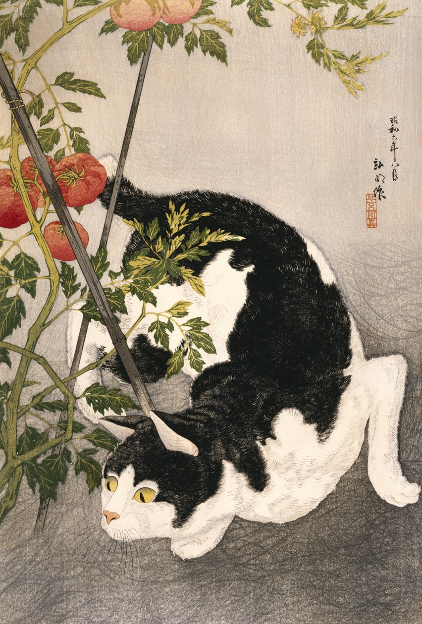 Cat prowling Around a staked tomatplant, 1931 (treblokktrykk) av Takahashi Hiroaki