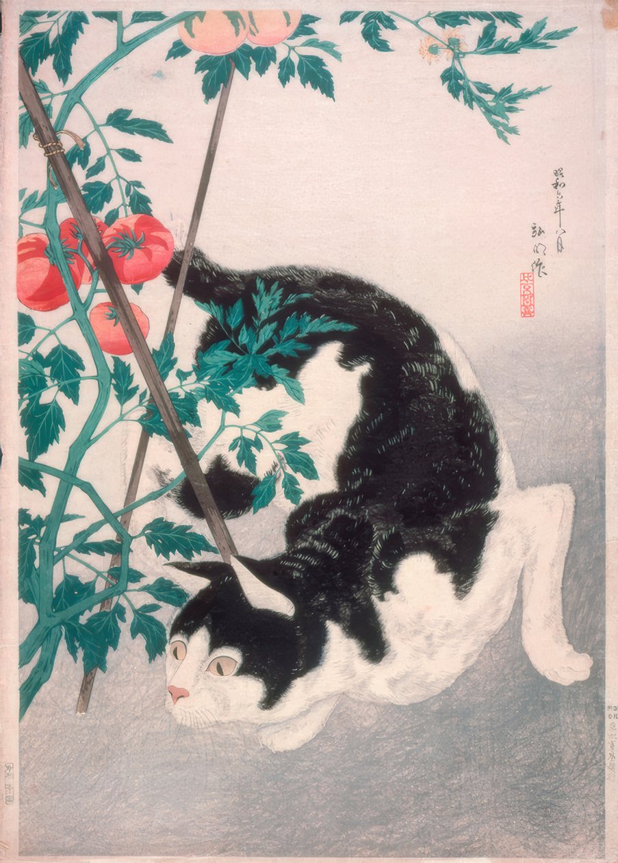 Katt med tomatplante av Takahashi Hiroaki
