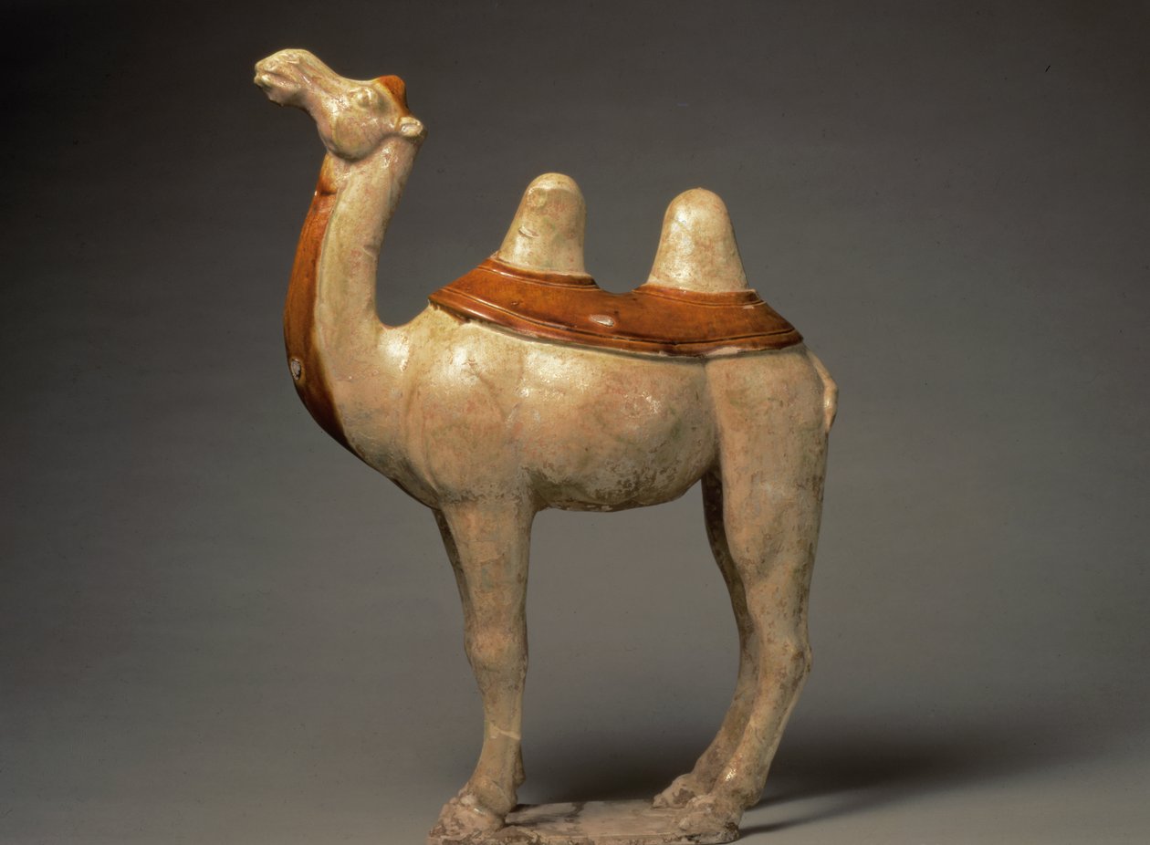 Keramikkmodell av en stående kamel, kinesisk, Tang-dynastiet, 618-906 (keramikk) av Tang Dynasty Chinese School