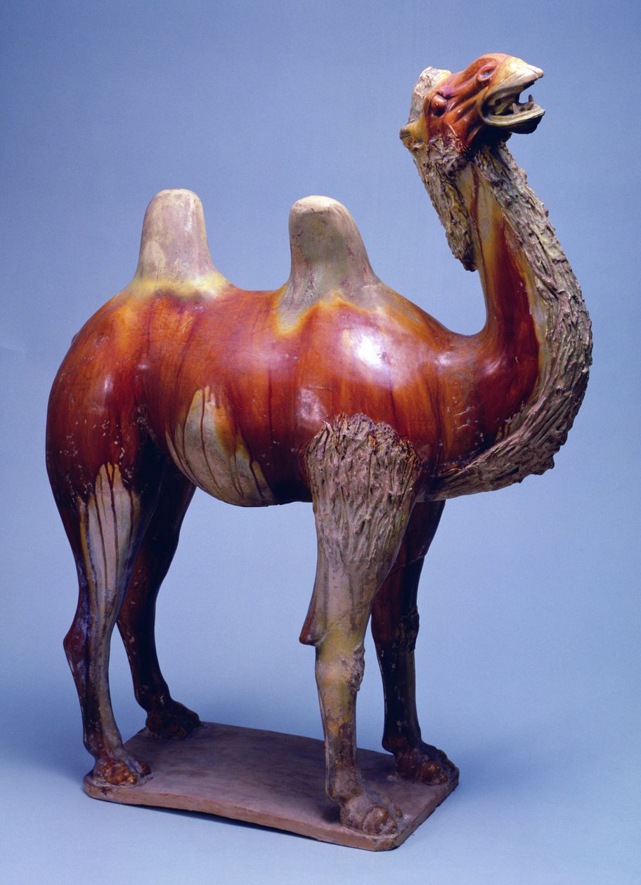 Kamel, Tang-dynastiet (polykromglasert keramikk) av Tang Dynasty Chinese School