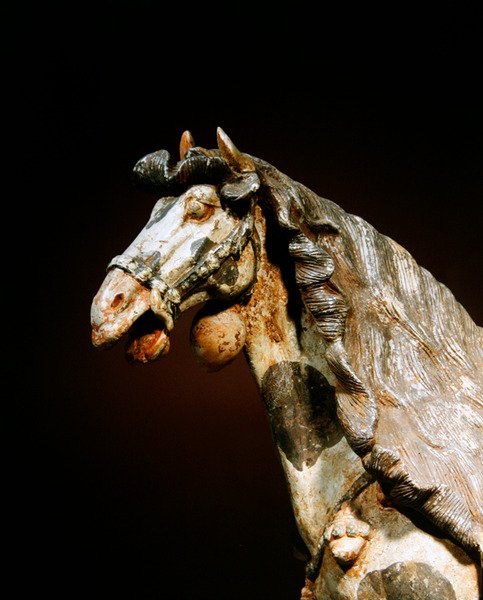 Detalj av en hest, sent 7. - tidlig 8. århundre (keramikk med spor av pigment og forgylt) av Tang Dynasty Chinese School