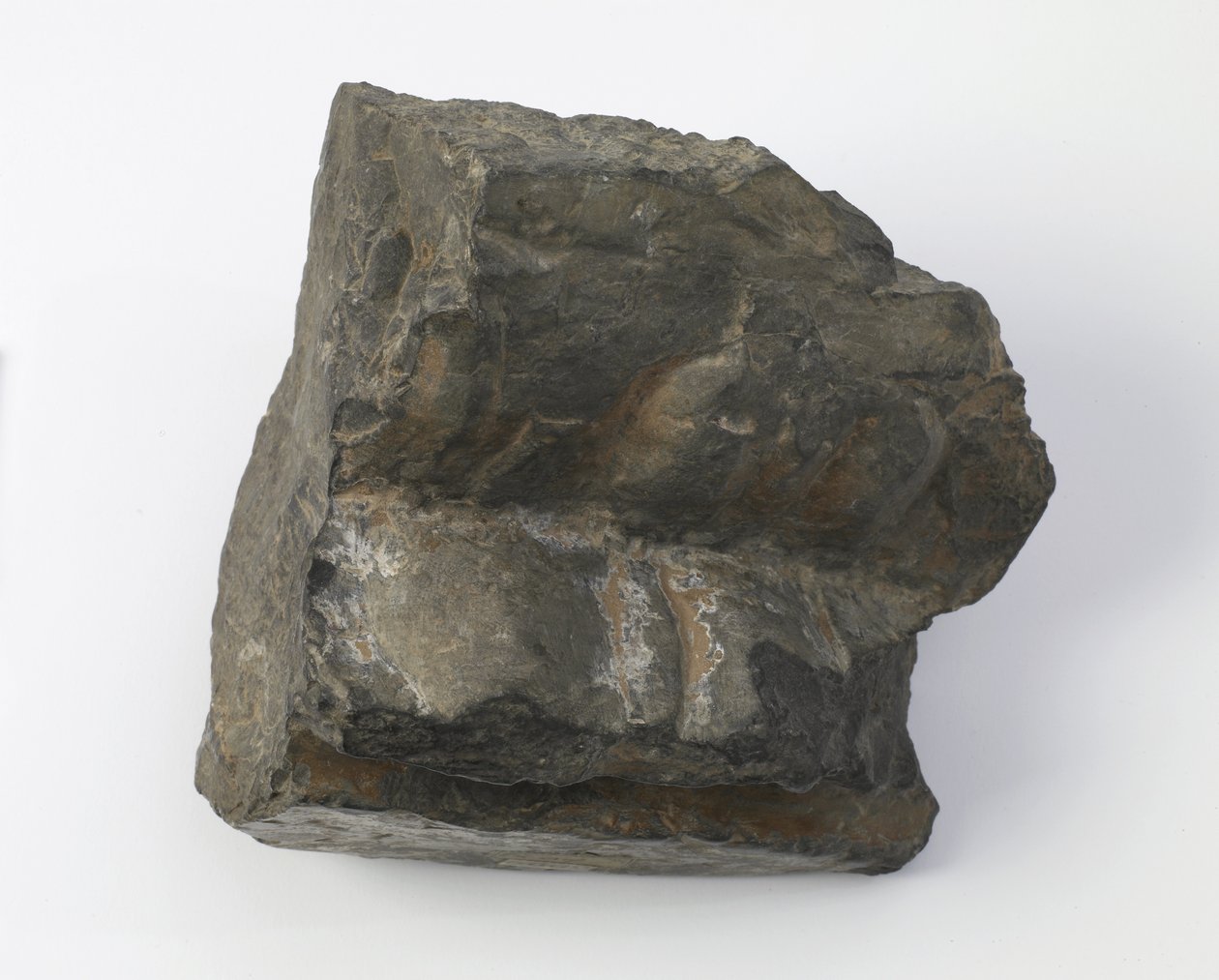 Fragment av en lotussokkel av Tang Dynasty Chinese School