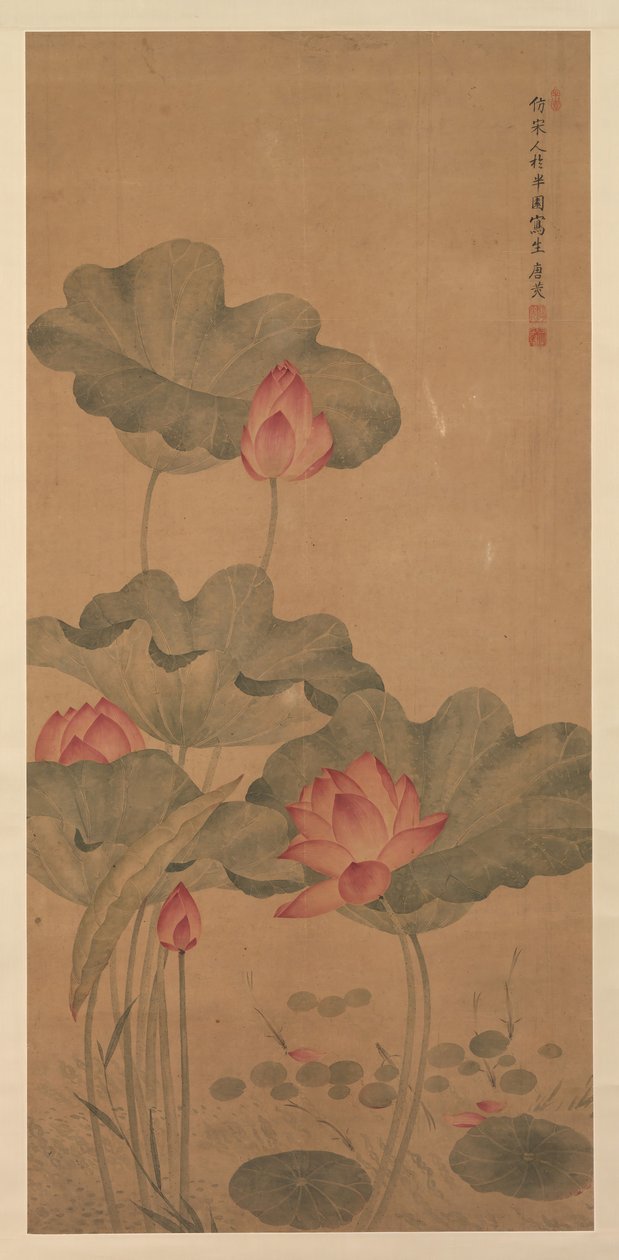 Rød lotus og fisk. av Tang Guang