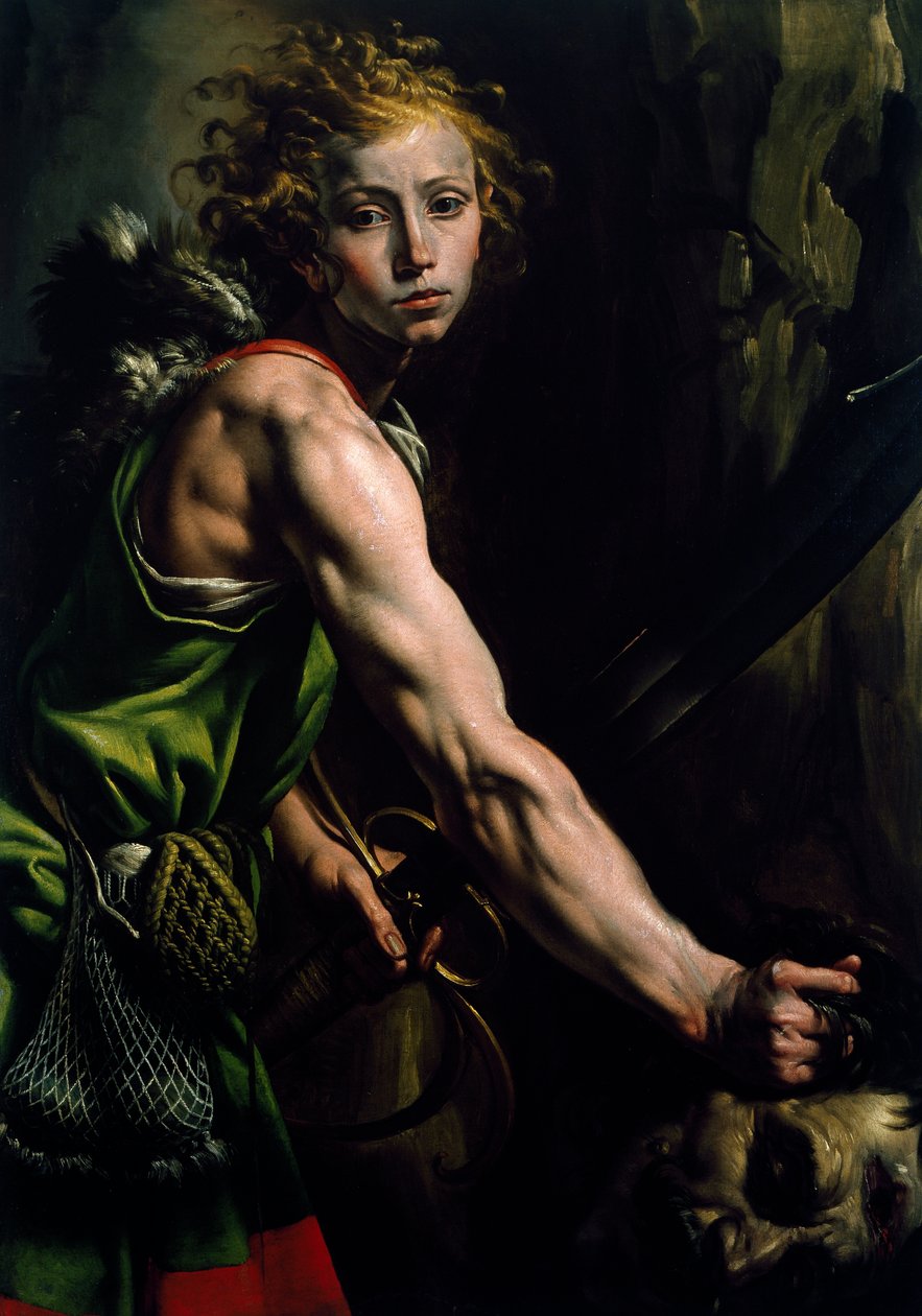 David with the Head of Goliath, by Antonio d