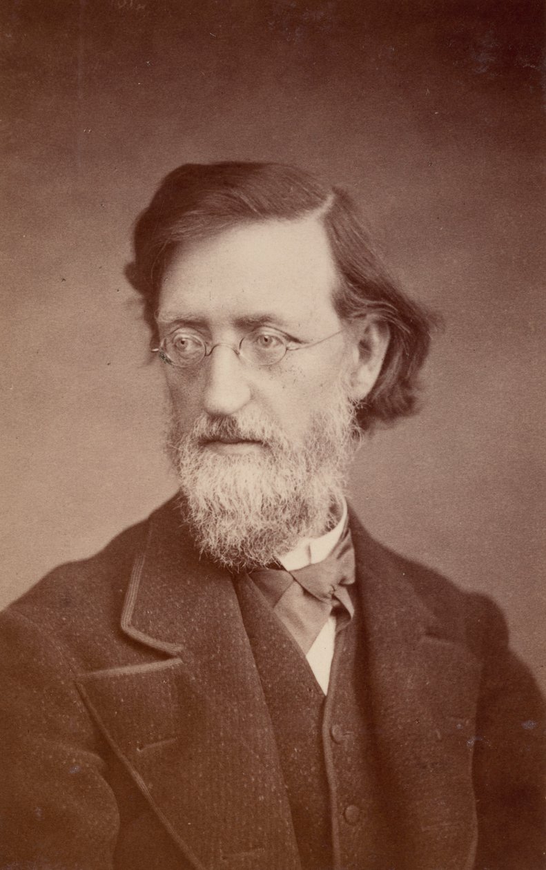 Portrett av John Peter Lesley 1819-1903, desember 1875. av Taylor and Brown