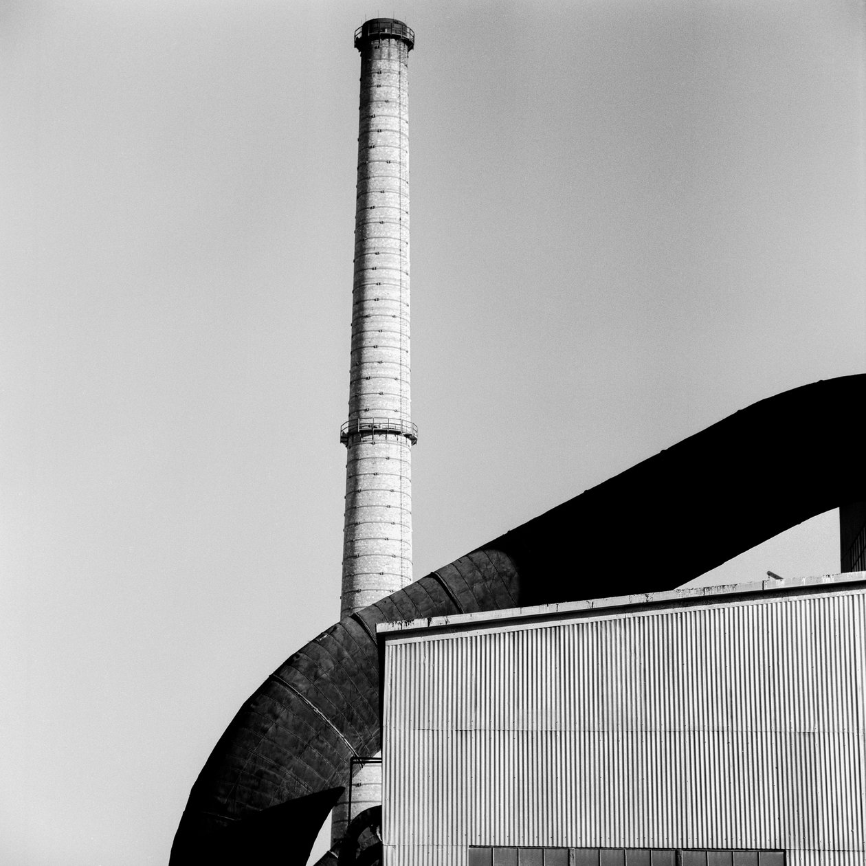  av Ted Spiegel