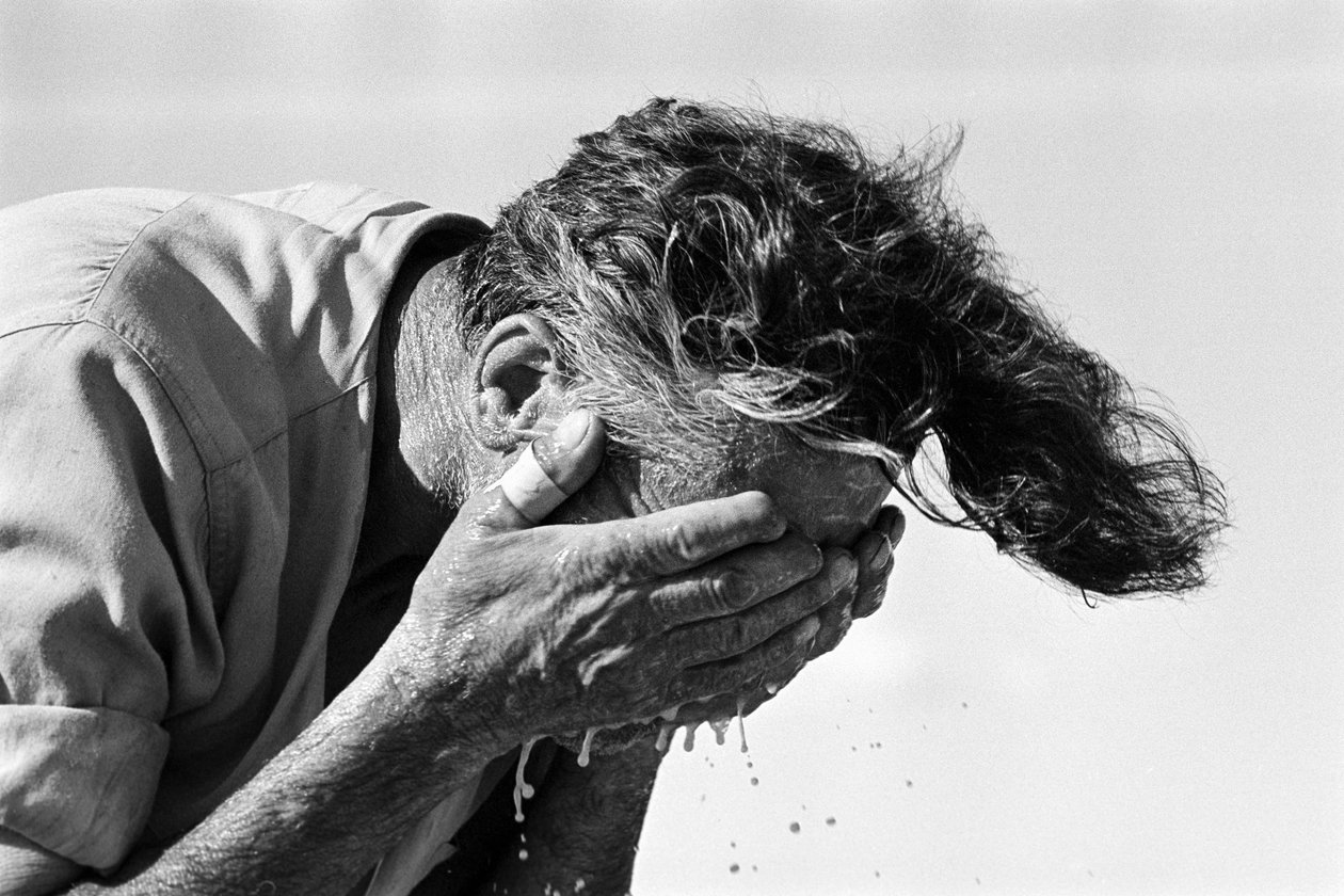  av Ted Spiegel