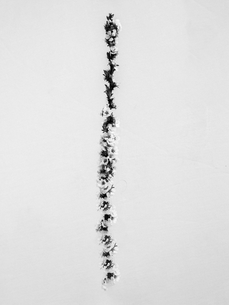 Amid the Flowers 58, 2021 (s/hvitt-bilde) av Teis Albers
