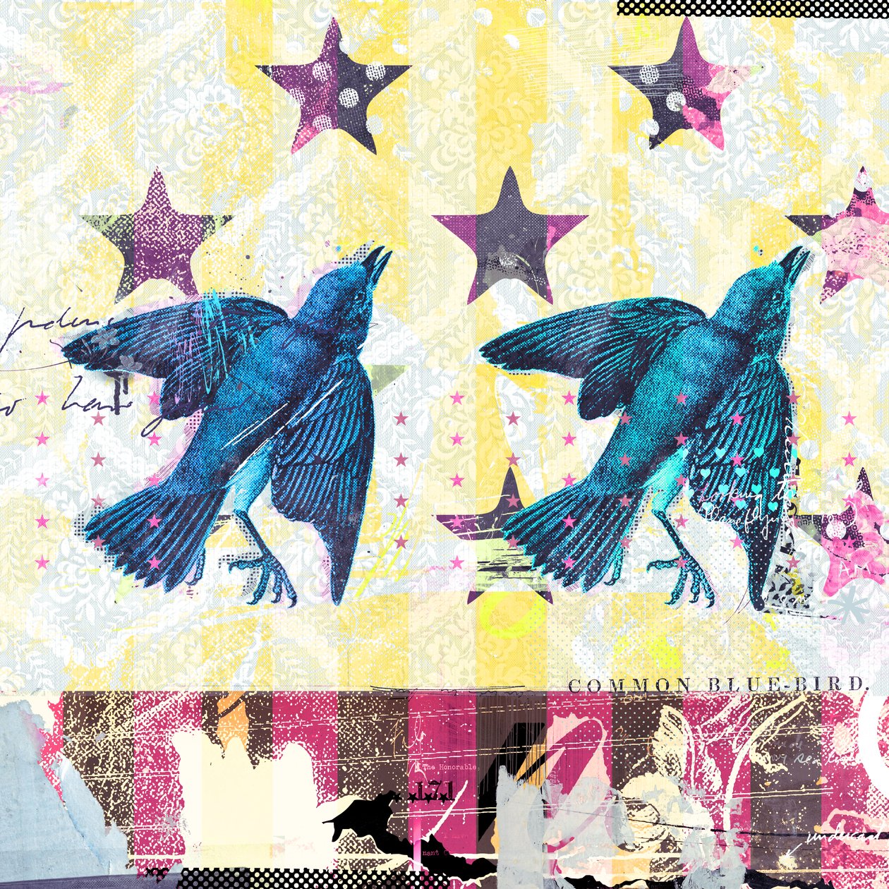 Birds in Serie, 2015 (Collage på lerret) av Teis Albers