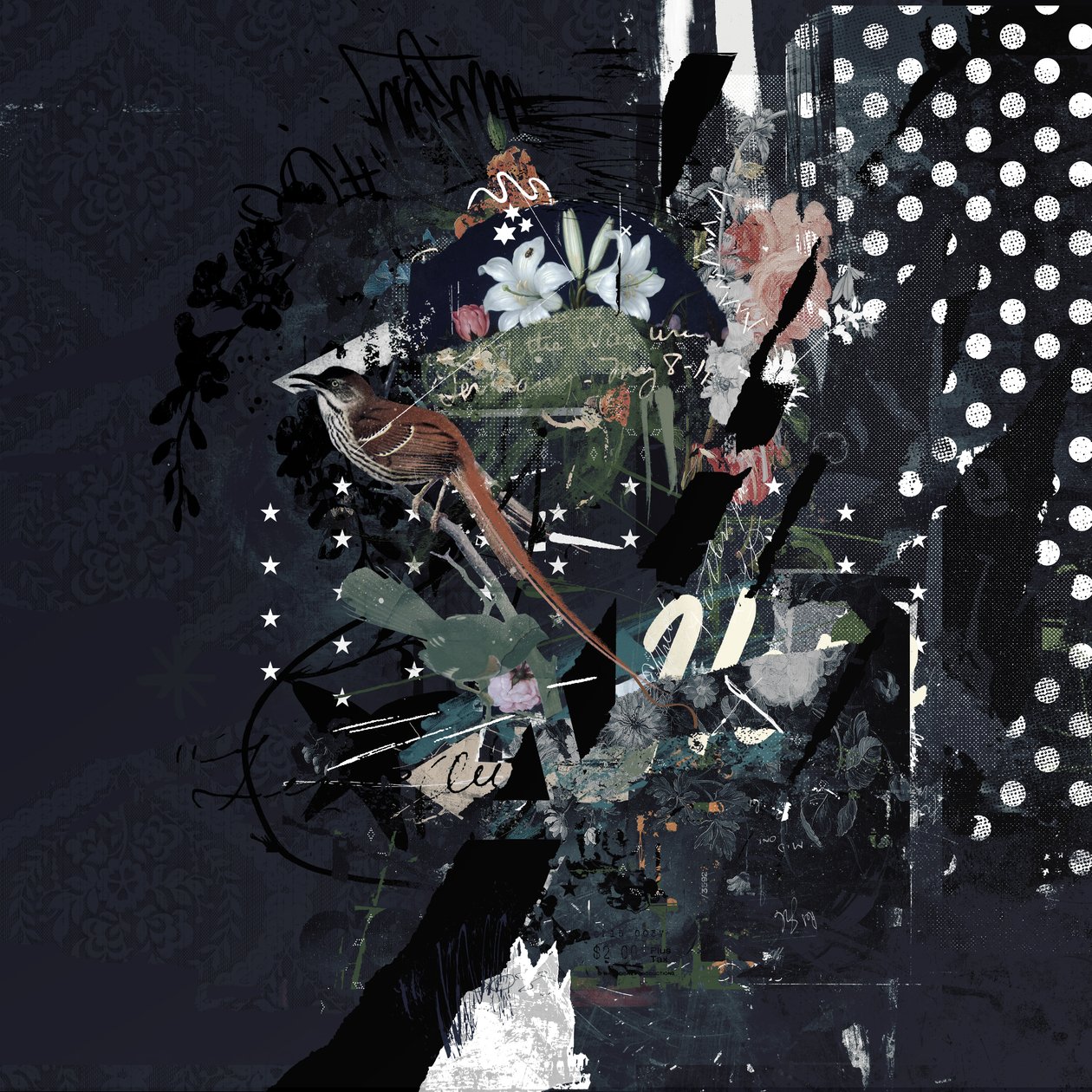 Floralbirds, 2017 (Collage på lerret) av Teis Albers