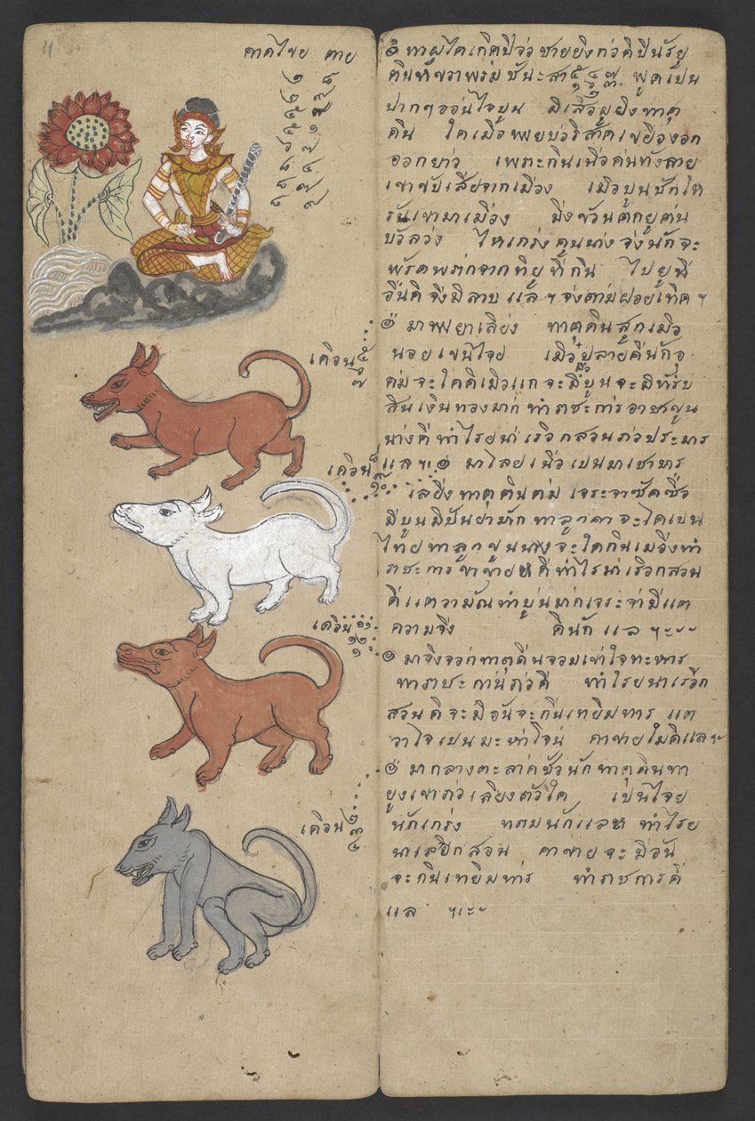 Eller 16455 f.11r, Dyr fra dyrekretsen, fra Phrommachat (pergament) av Thai School