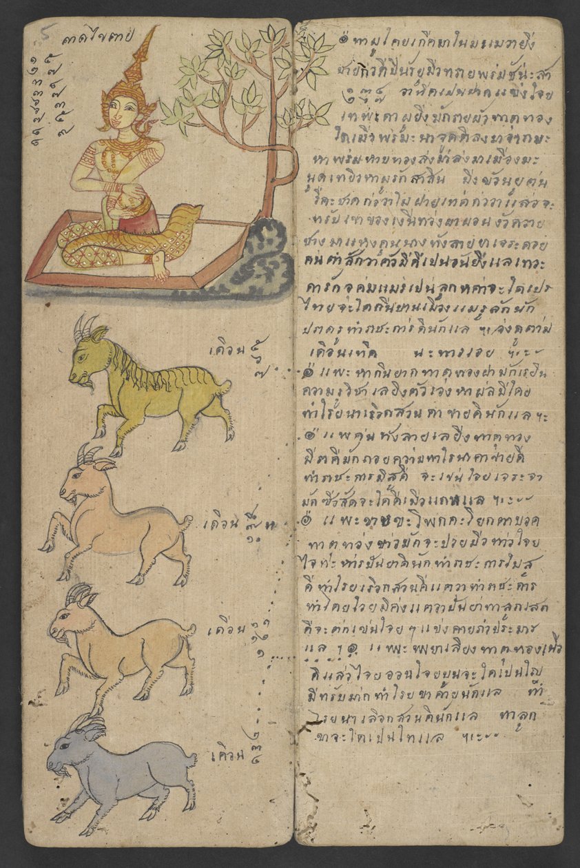 Eller 16455 f.5r, Dyr fra dyrekretsen, fra Phrommachat (pergament) av Thai School