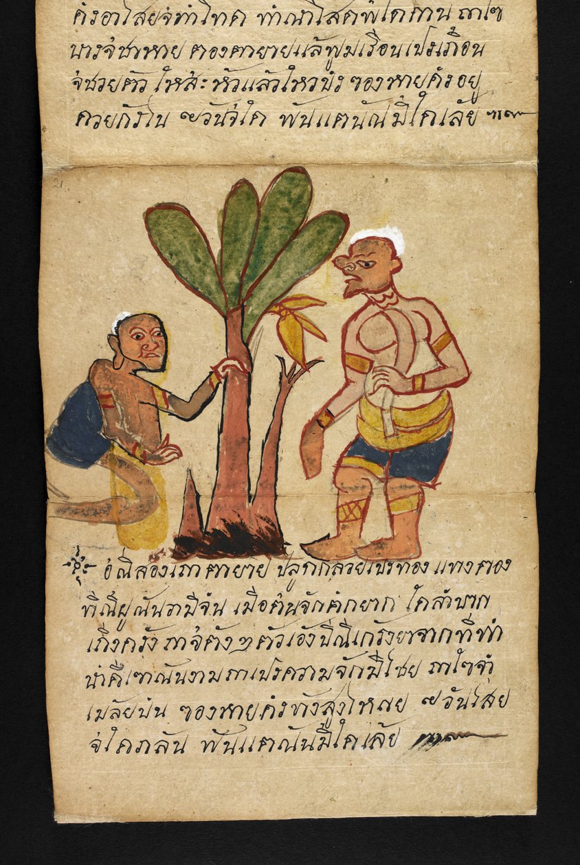 Eller. 16482, f.21 'Satra' Om spådom og råd for en lykkelig og sunn livsstil (papirbrettebok) av Thai School