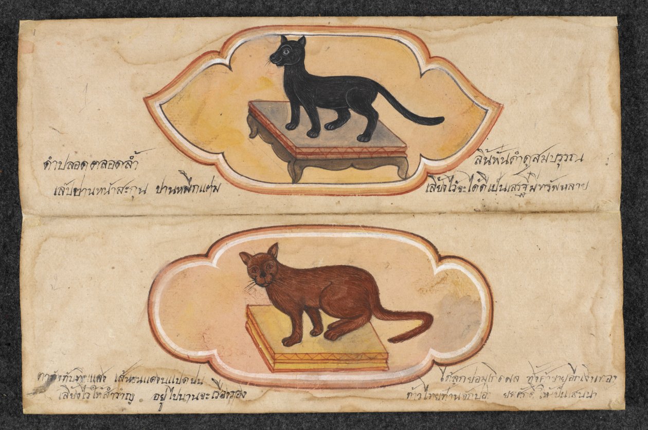 Siamese katter, Fol. 1: to heldige katter for å støtte virksomhet og akkumulering av rikdom, eller. 16797, f.1 (pergament) av Thai School